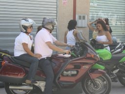 XVI Concentracion - 2009